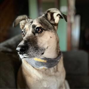 Meet your Posher, Bev